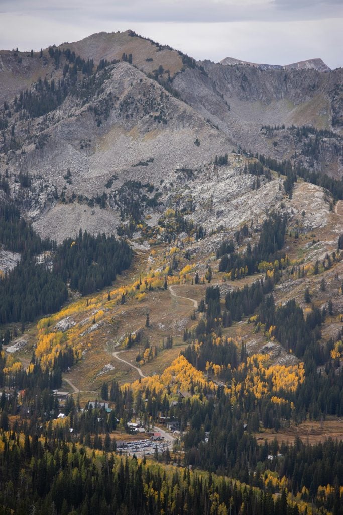 brighton utah rentals
